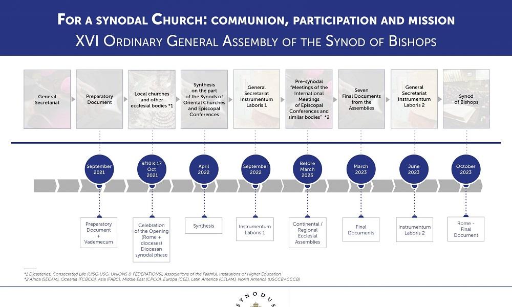 Pope Synod Process