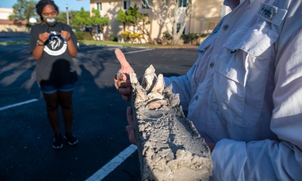 Catholics Take Action to Care for the Waters of Tampa Bay 2