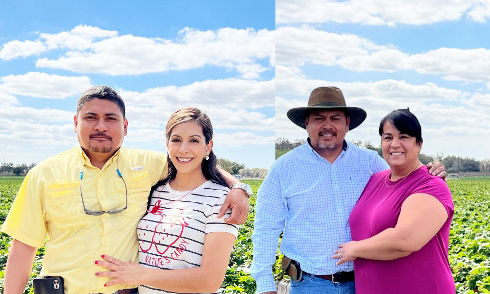 Strawberry Farmers Share the Fruit of Their Labor