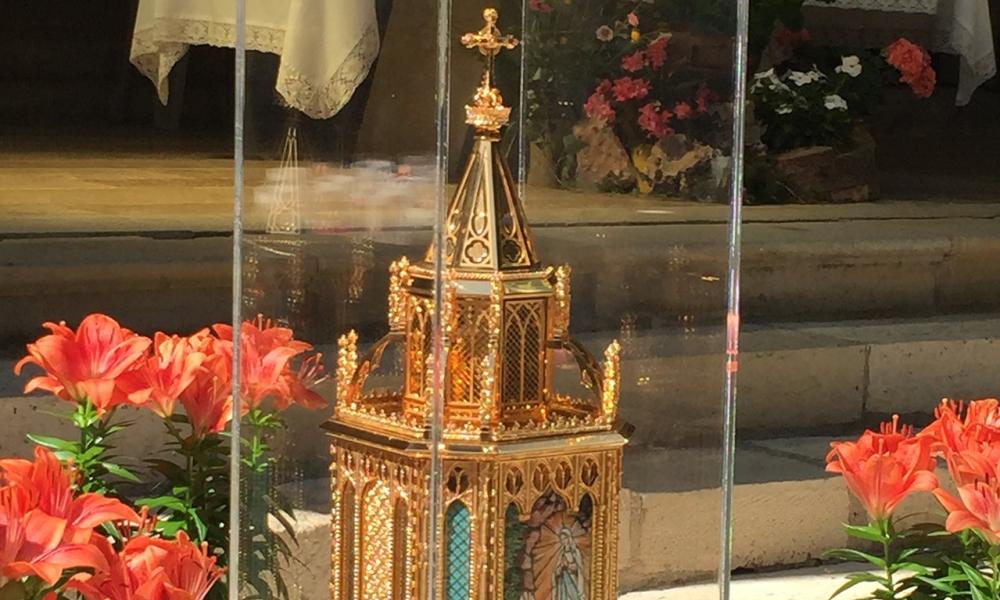 St. Bernadette's Relics to Be in Dunedin April 23rd 2