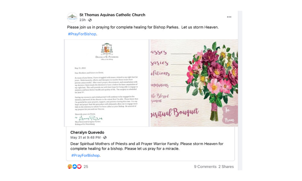 Outpouring of Prayers for Bishop Parkes 8