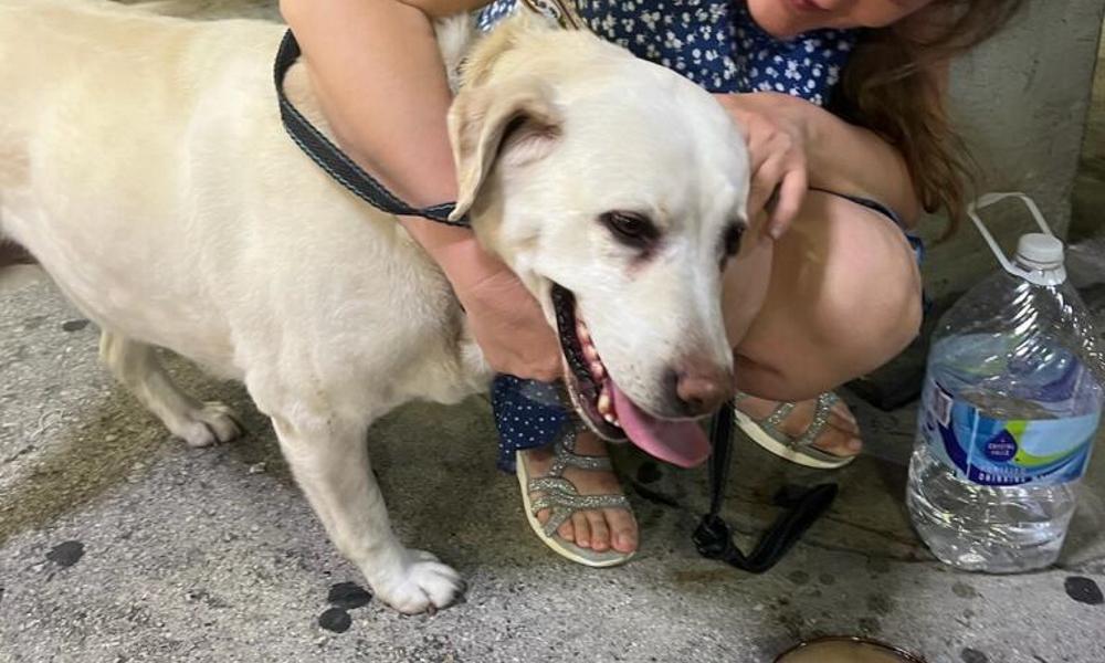 Local Parishioners Help Ukrainian Refugees 3