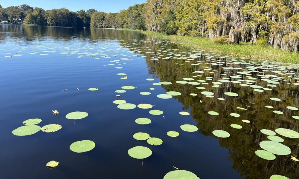 Catholic Camp in Citrus County Has Impacted Generations of Families 8