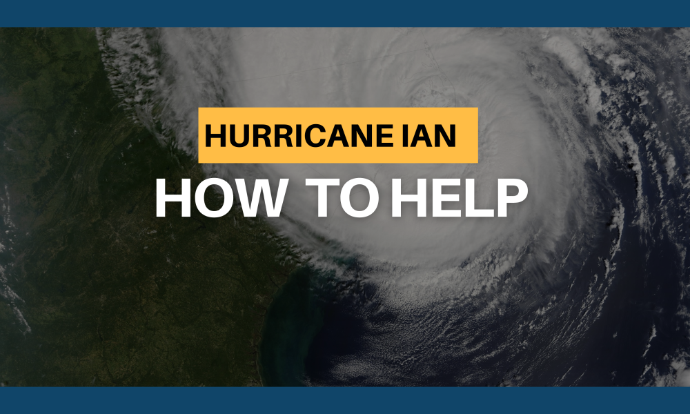 Help After the Hurricane