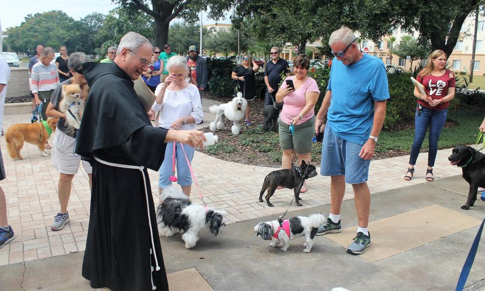 Carrying on the Ministry of St. Francis 3