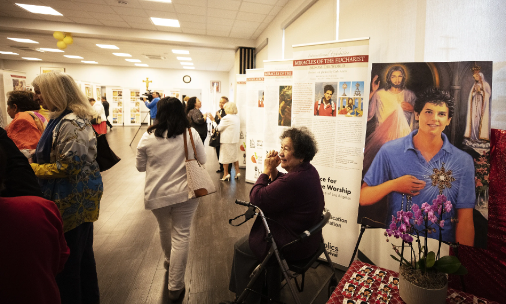 eucharistic miracle exhibit 