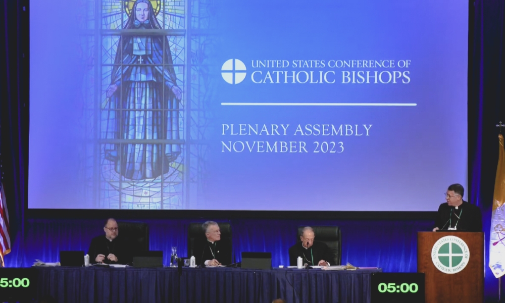 Bishops from around the United States gather for the general sessions of the USCCB Fall Plenary Assembly. Photo from USCCB.