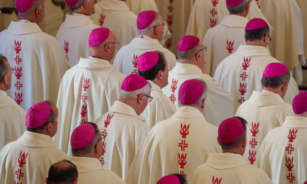 Bishops from around the United States gather for the Fall Plenary Assembly at Mass in Baltimore | Photo from USCCB