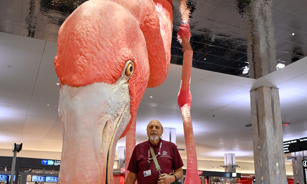 One lollipop at a time 2