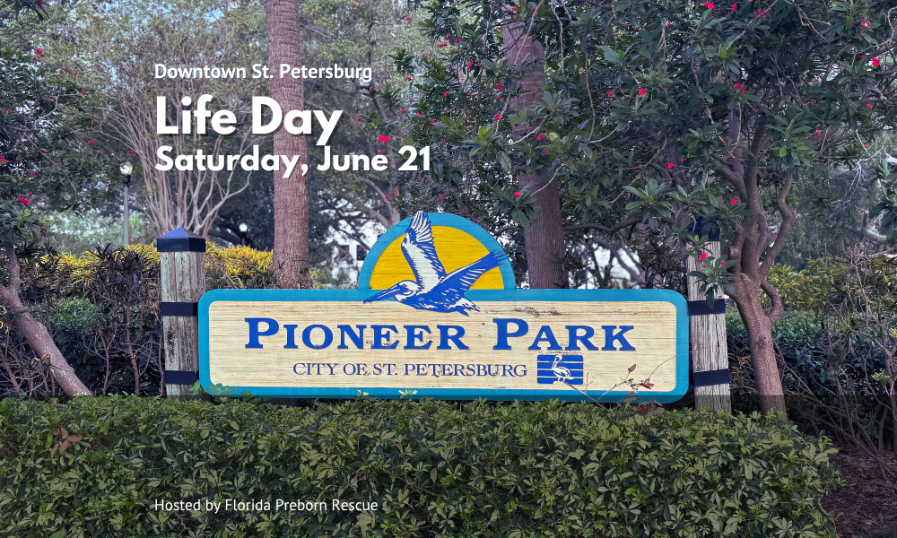 gcc-lifeday