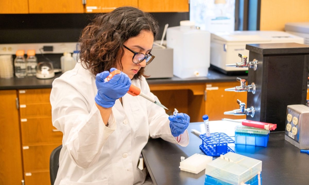 A student works with biophages in a biology lab at Saint Leo University. Now, Saint Leo biology majors will have the opportunity for early provisional admission to medical school thanks to a partnership with Lake Erie College of Osteopathic Medicine.