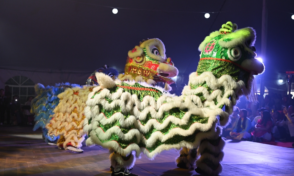 Vietnamese Lunar New Year