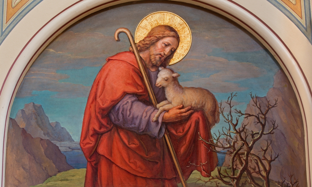 Good shepherd