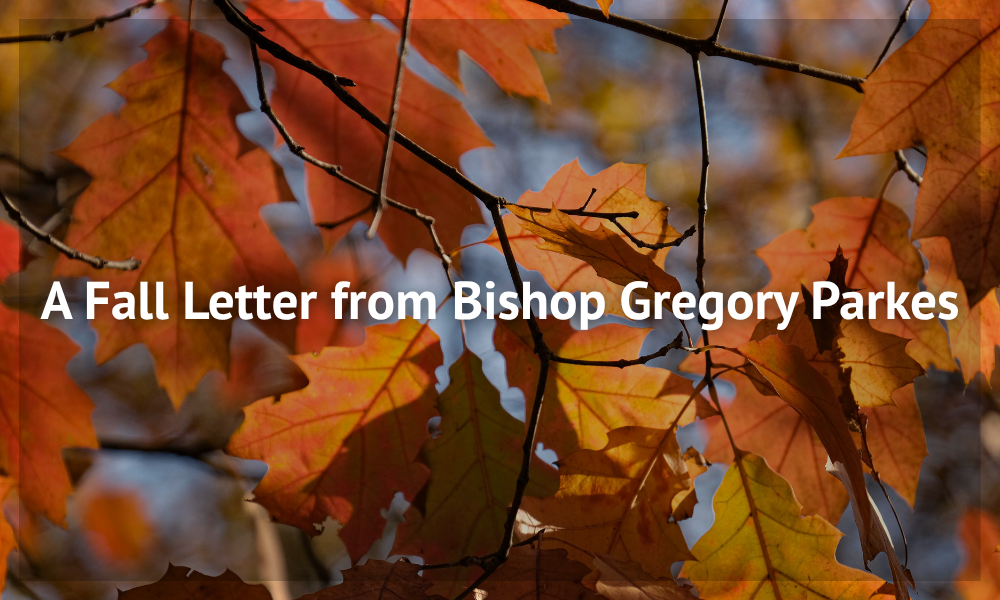 Fall Letter