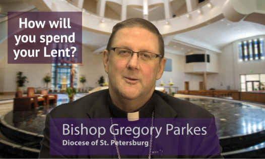 Three days shadowing Bishop Parkes