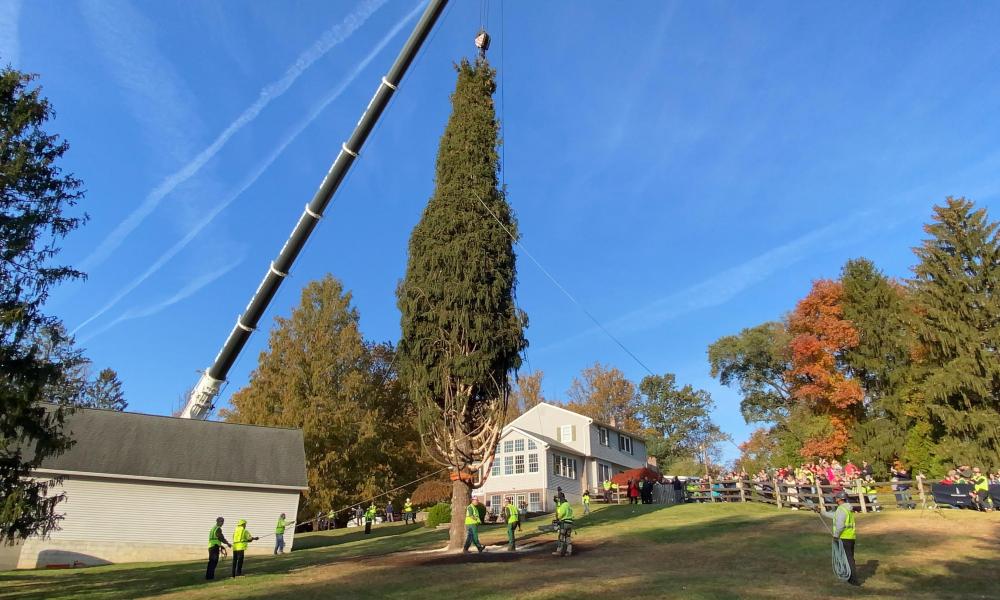 Catholic Couple Donate Spruce for Rockefeller Center's 2021 Christmas tree